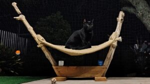 Recycled coffee sacks and drift wood, Laila's ship hammock