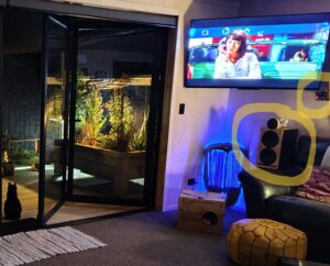 A Speaker, pre & sub amps